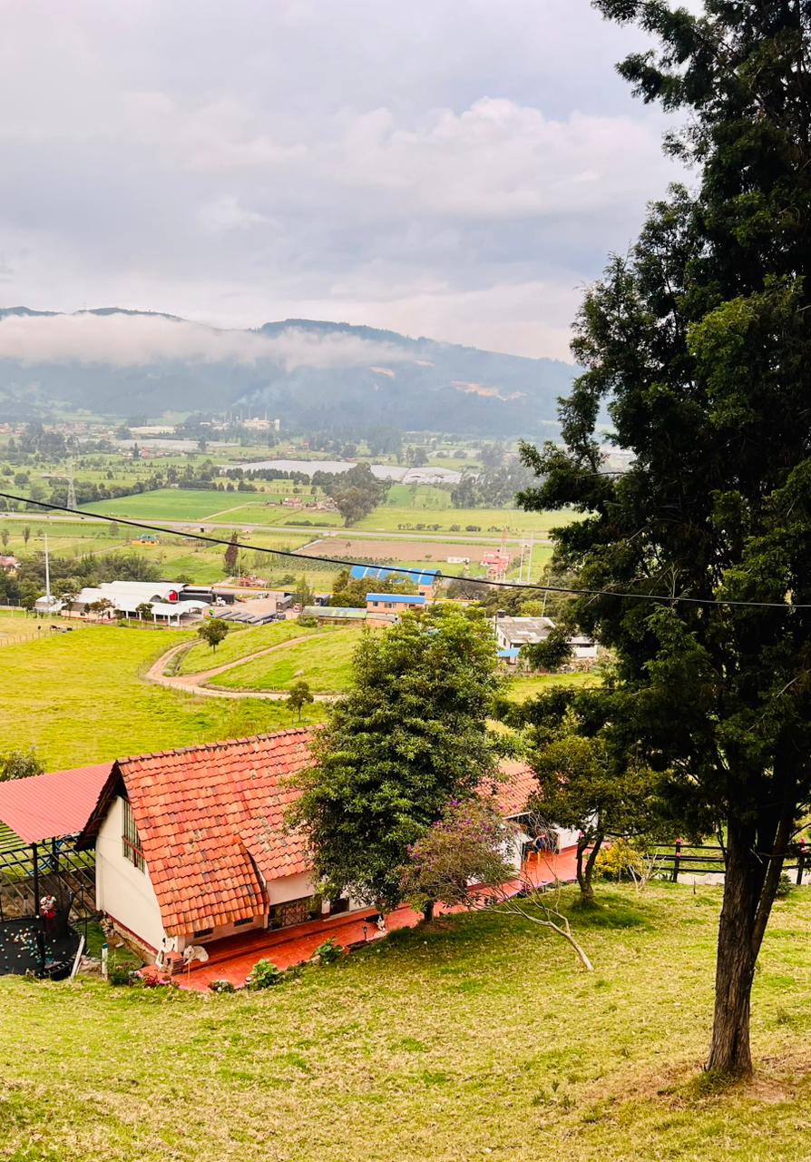Sede Finca 7